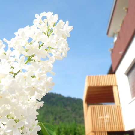 B&B Casa Sul Lago - Appartamenti Calceranica al Lago Rum bild