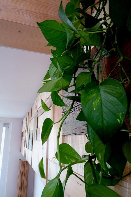 B&B Casa Sul Lago - Appartamenti Calceranica al Lago Rum bild