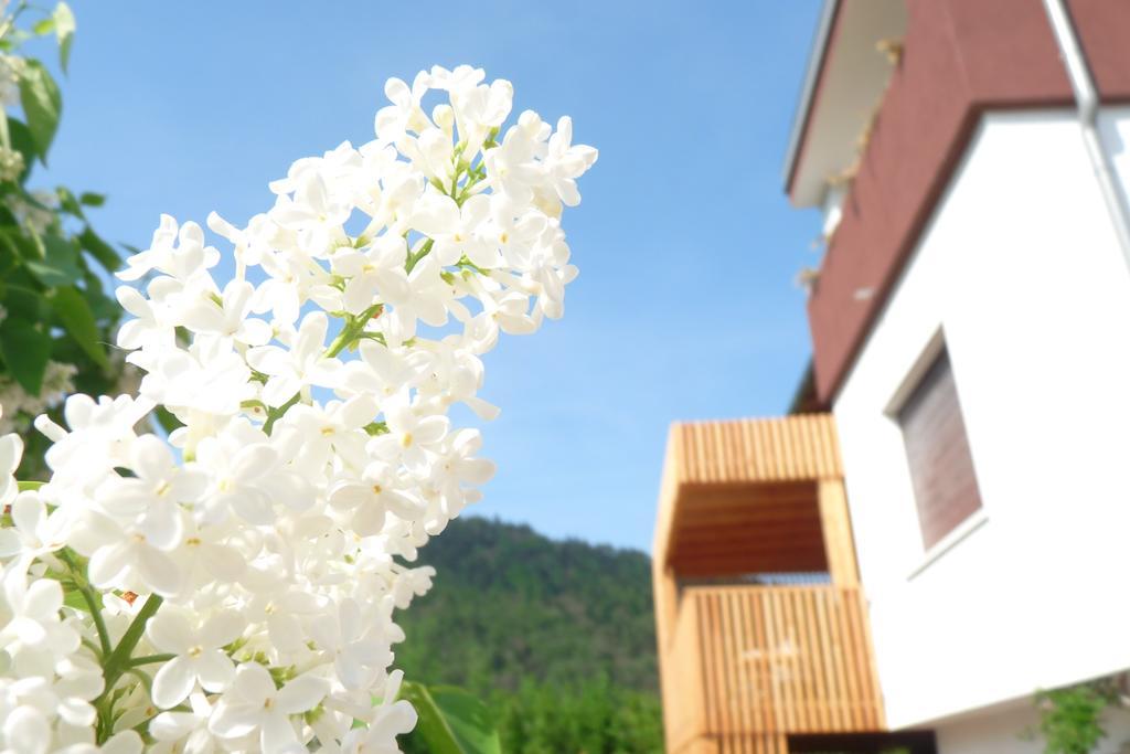 B&B Casa Sul Lago - Appartamenti Calceranica al Lago Rum bild