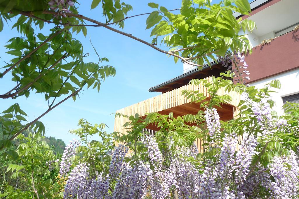 B&B Casa Sul Lago - Appartamenti Calceranica al Lago Exteriör bild