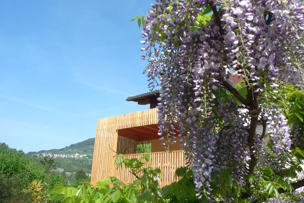 B&B Casa Sul Lago - Appartamenti Calceranica al Lago Exteriör bild