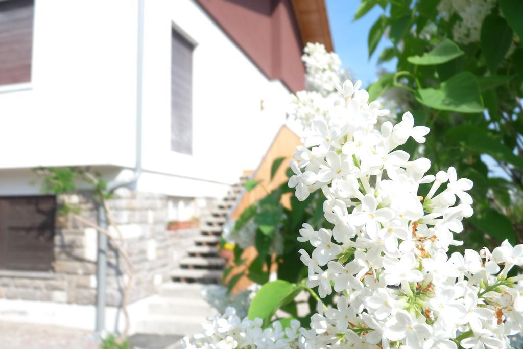 B&B Casa Sul Lago - Appartamenti Calceranica al Lago Exteriör bild