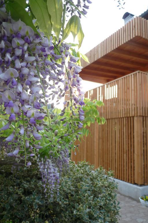 B&B Casa Sul Lago - Appartamenti Calceranica al Lago Exteriör bild